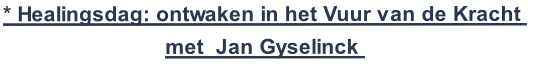 * Healingsdag: ontwaken in het Vuur van de Kracht 
met  Jan Gyselinck 